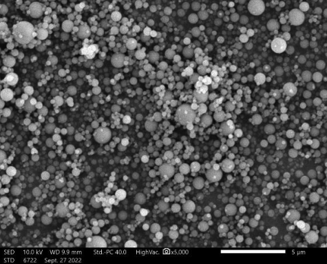 99.9% High Purity 500nm Nano Grade Spherical Silica Powder Silica Sphere Microsphere NSS-D Series