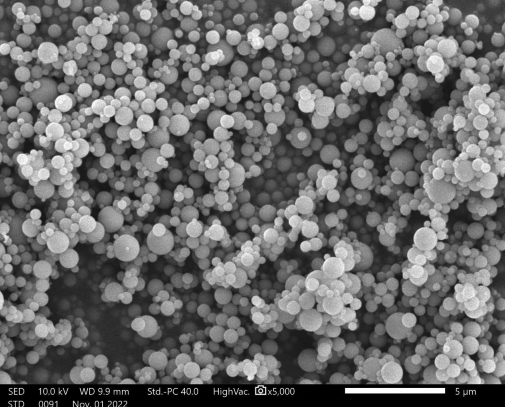 99.9% High Purity 700nm Nano Grade Spherical Silica Powder Silica Sphere Microsphere NSS-D Series